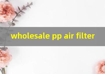 wholesale pp air filter